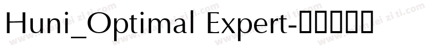 Huni_Optimal Expert字体转换